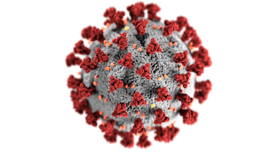 Molécule du virus covid 19